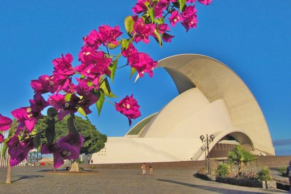 Linguistic and Translation Agency in Tenerife | Canary Islands