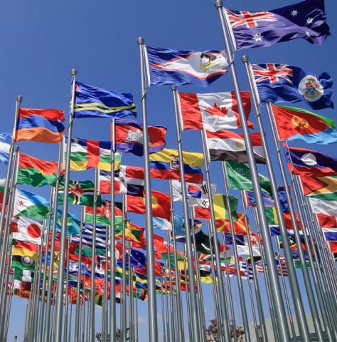 Servicios de traducción para organismos gubernamentales