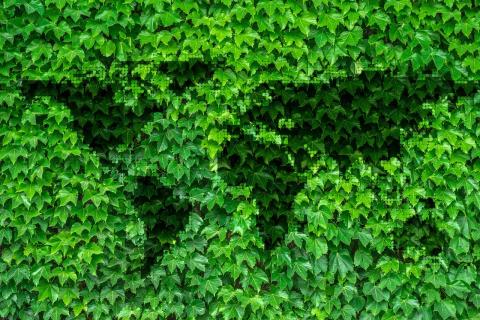 Traducciones de protección de la naturaleza y del medio ambiente