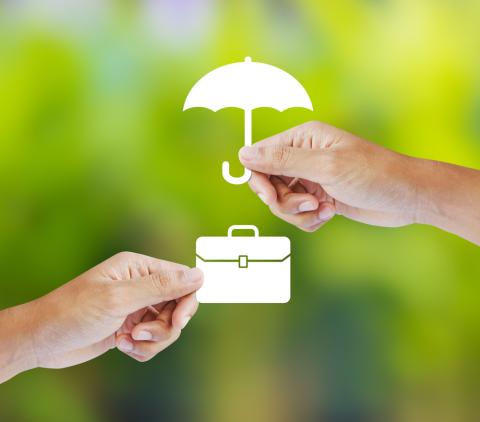 Traducciones para el sector de seguros