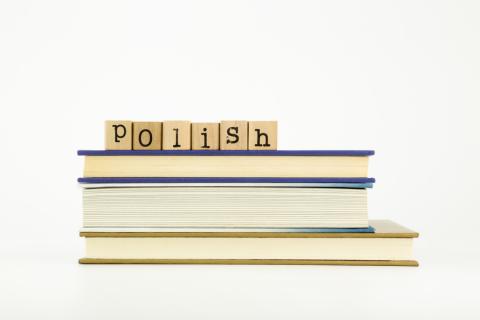 Servicios de traductor español polaco