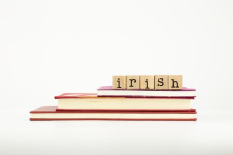 Servicios de traducción español irlandés Servicios de traducción español irlandés