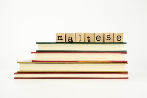 Servicios de traducción español maltés Servicios de traducción español maltés