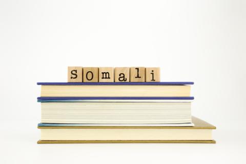 Servicios de traducción español somalí Servicios de traducción español somalí