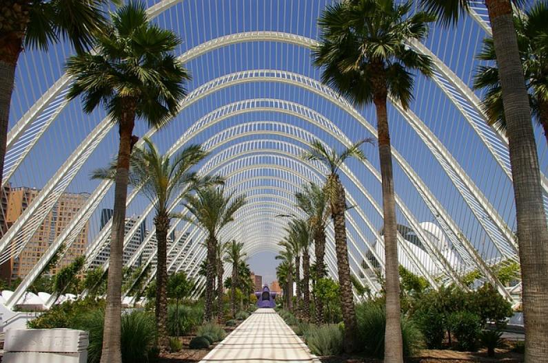 Valencia: La importancia de contar con Traductores Profesionales